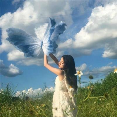 玉屏风
